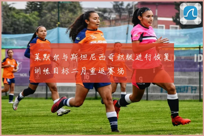 莱默尔与斯坦尼西奇积极进行恢复训练目标二月重返赛场