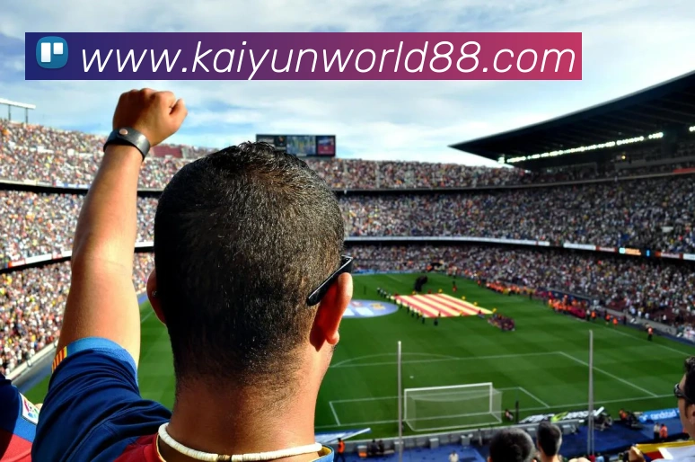 开云体育APP 封面图